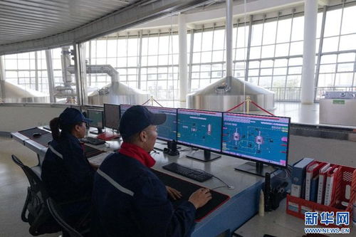 拉薩經(jīng)開(kāi)區(qū) 科技驅(qū)動(dòng)高原特色產(chǎn)業(yè)蓬勃發(fā)展